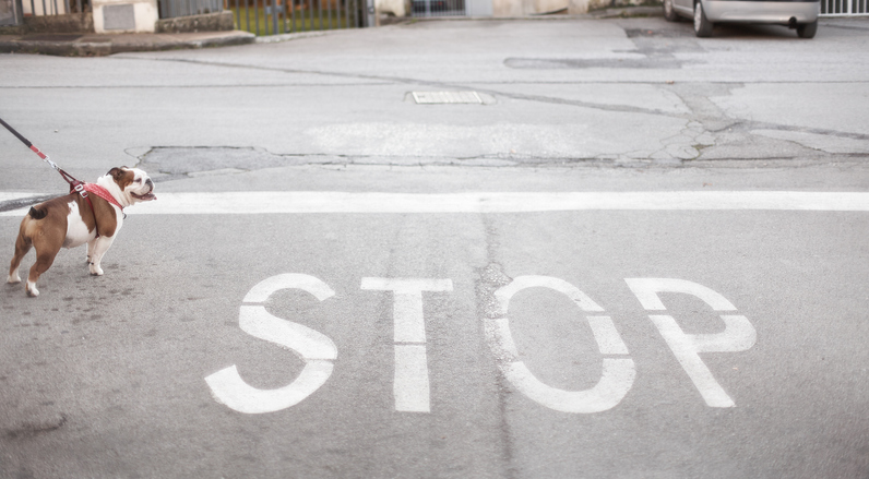 When Should You Consider a Restraining Order in Louisville - Family Law