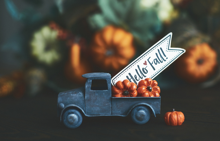 Sharing Custody and Travel During the Holidays as a Co-Parent